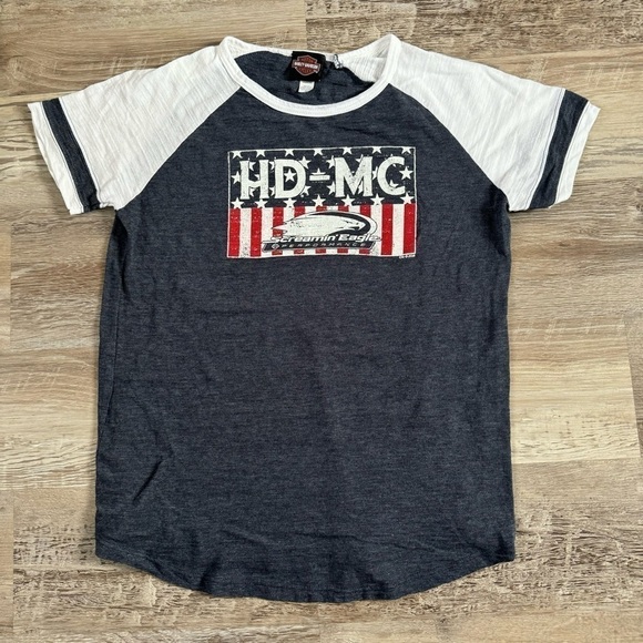 Women’s Gray Harley Davidson Screaming Eagle Biker Motorcycle top size M - Picture 2 of 6